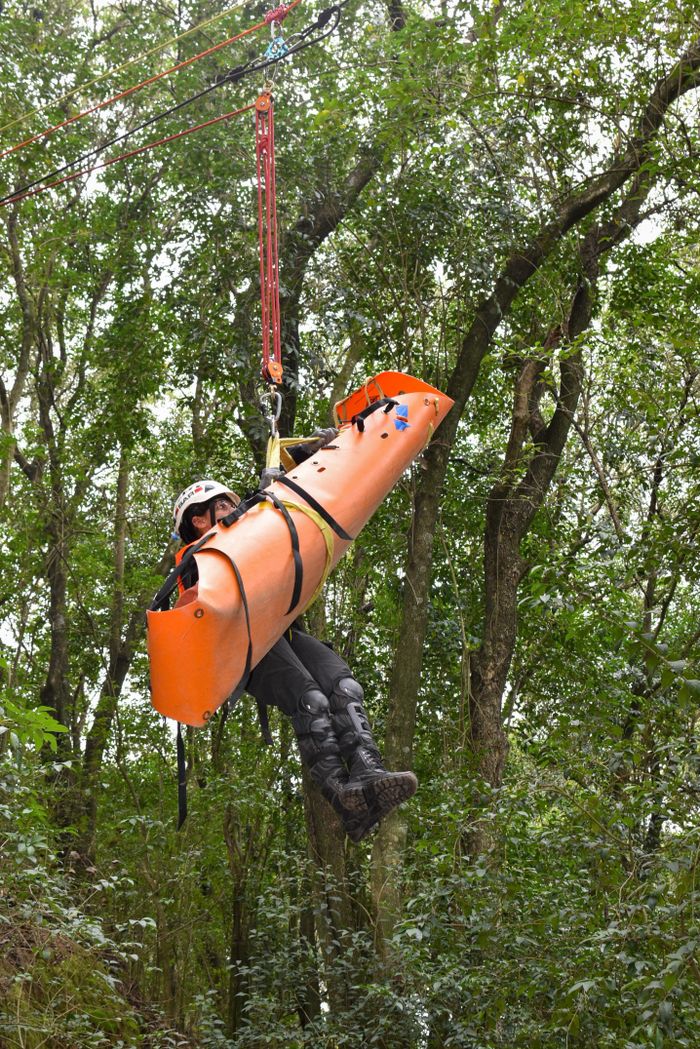 gallery-3 A person being lifted in an orange rescue basket during a tree rescue operation.
